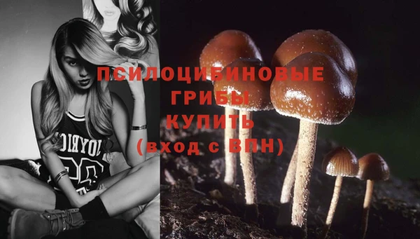 ПСИЛОЦИБИНОВЫЕ ГРИБЫ Алексеевка